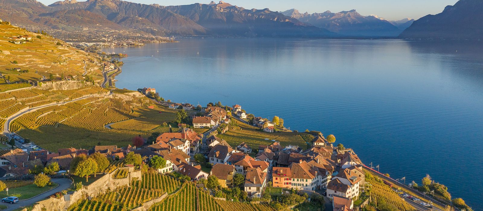 Les vignes de Lavaux au bord du Léman
