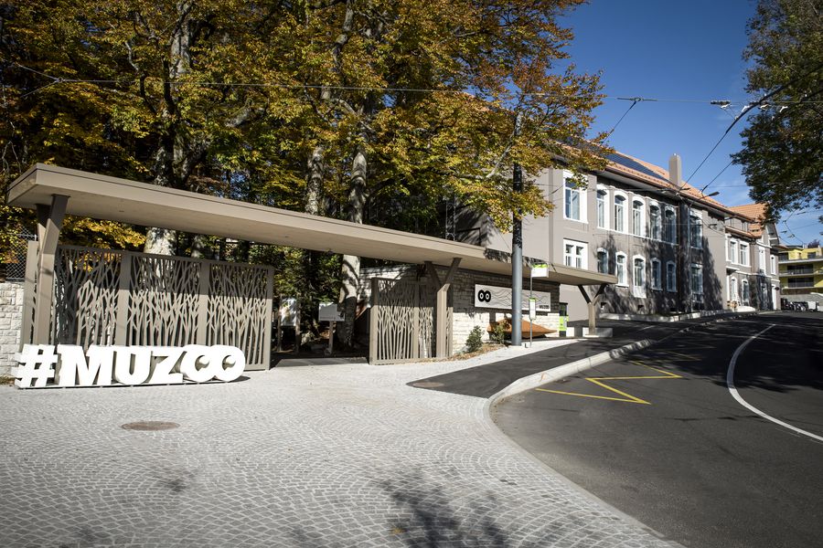 MUZOO, le Bois du Petit-Château